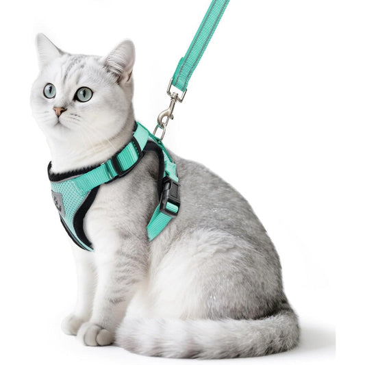 PUPTECK Escape Proof Cat Harness and Leash Set Adjustable Soft Breathable Mesh Walking Vest for Kittens and Small Pets Aquamarine Color Small Size