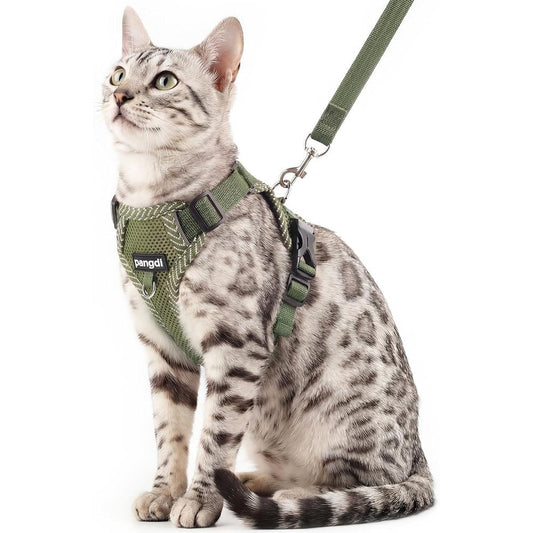 Pangdi Escape Proof Extra Large Cat Harness And Leash Set Mesh Breathable Vest For Maine Coon Travel Dark Green Extra Large