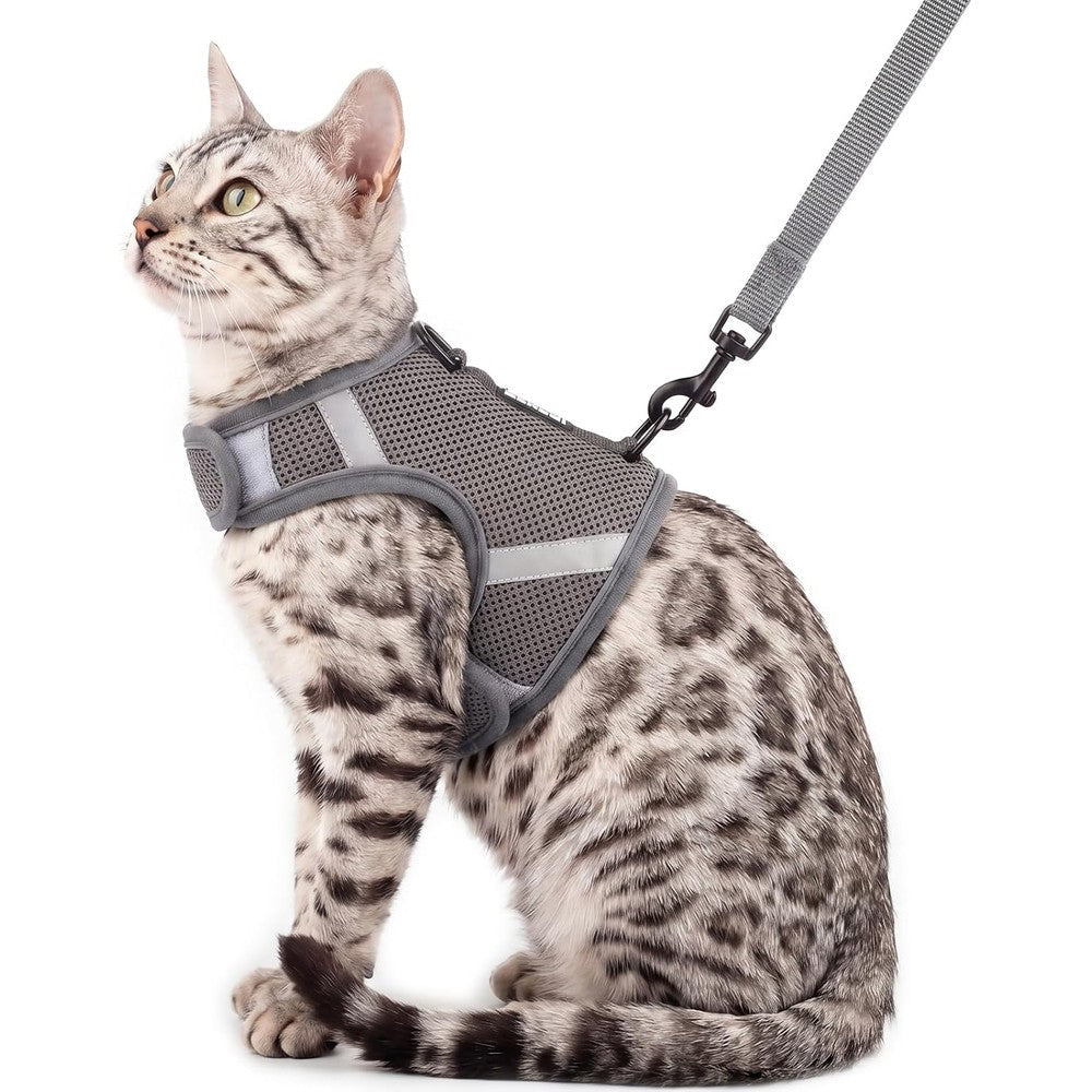 Pangdi Cat Harness And Leash Set Escape Proof No Head Pull Breathable Mesh Cat Vest Walking Travel Harness For Extra Large Cats Grey X Large