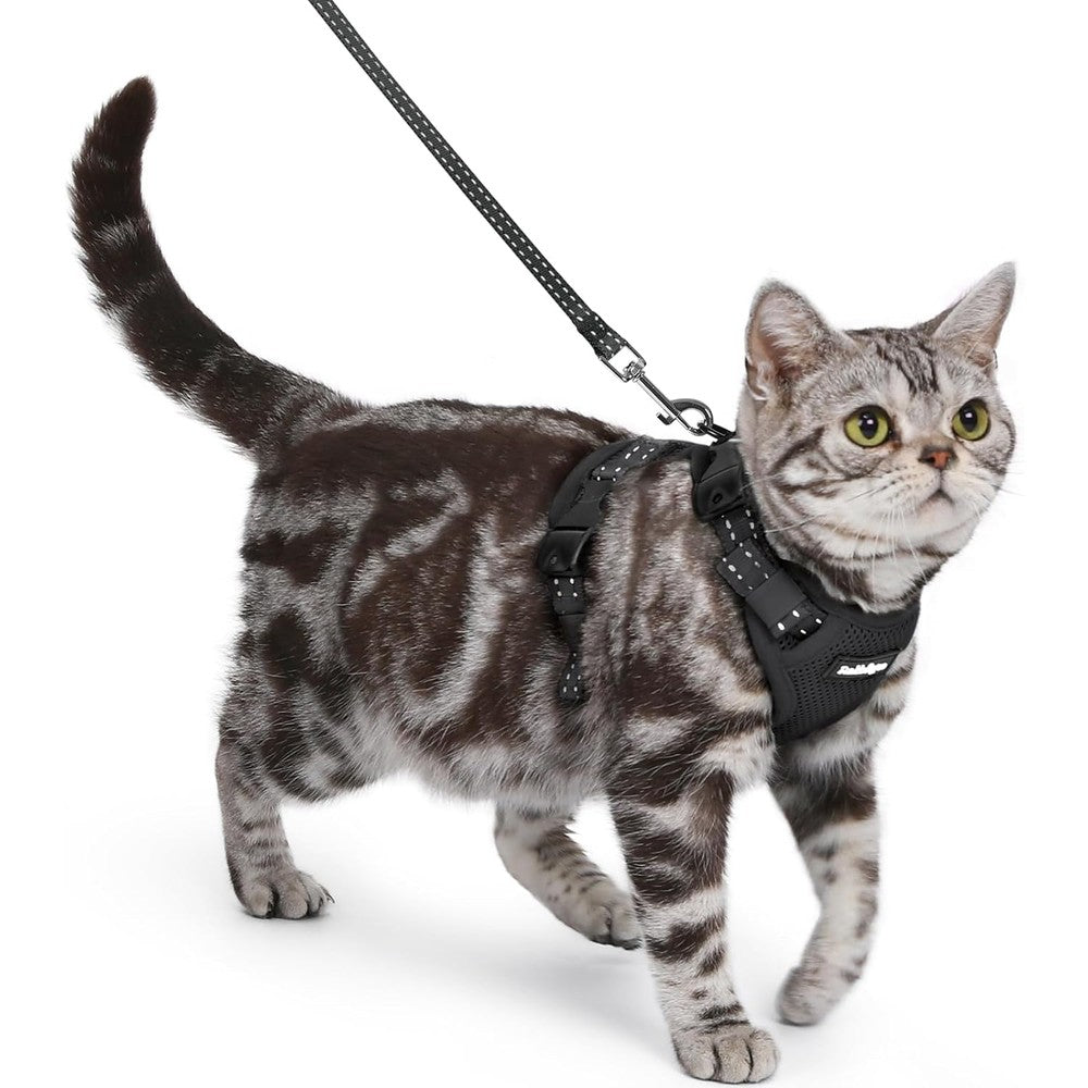 Rabbitgoo Easy On Cat Harness And Leash Set Escape Proof Vest With Three Adjustable Buckles Soft Breathable Air Mesh Reflective For Small Cats Black