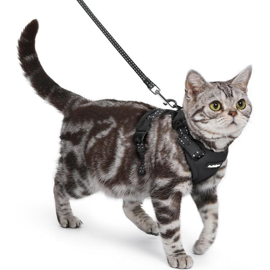 Rabbitgoo Easy On Cat Harness And Leash Set Escape Proof Vest With Three Adjustable Buckles Soft Breathable Air Mesh Reflective For Small Cats Black