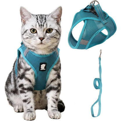 HEYWEAN Cat Harness And Leash Set Ultra Light Escape Proof Kitten Walking Jacket With Running Cushioning Turquoise Large