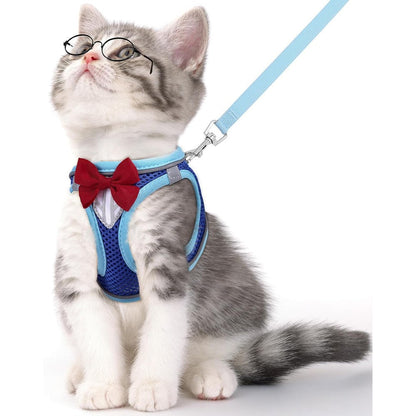 NCMAMA Escape Proof Cat Vest Harness And Leash Set Adjustable Breathable Mesh Kitten Walking Harness With Reflective Strips Blue Extra Small