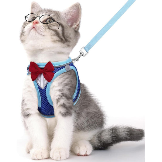 NCMAMA Escape Proof Cat Vest Harness And Leash Set Adjustable Breathable Mesh Kitten Walking Harness With Reflective Strips Blue Extra Small