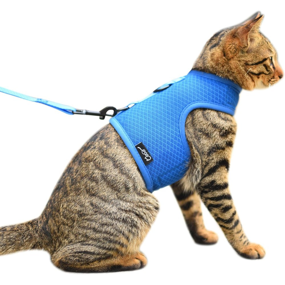 Yizhi Miaow Escape Proof Cat Harness And Leash Set Adjustable Breathable Mesh Walking Jacket Padded Vest For Large Cats Solid Blue