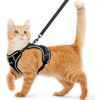 Kaazylab Escape Proof Cat Harness And Leash Set Breathable Mesh Walking Vest For Kittens And Cats Black Small Size For Seven To Twelve Pounds