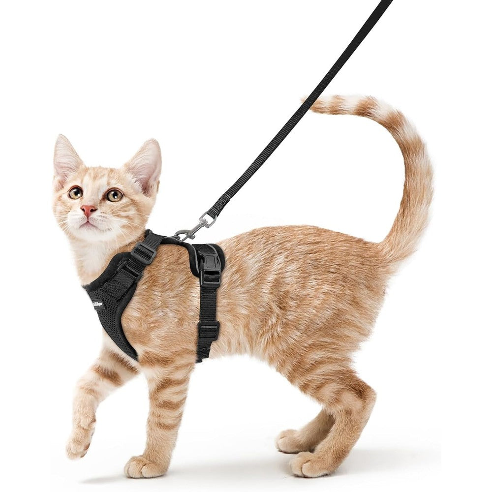 Rabbitgoo cat harness and leash set front view showing black mesh vest