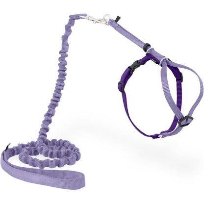 PetSafe Come With Me Kitty Harness And Bungee Leash Adjustable Lightweight Cat Harness For Safe Outdoor Walking Lilac Medium