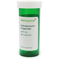 Generic Clindamycin 300mg capsules 60 count vial front view