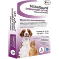MilbeGuard flavored tablet for dogs 26-50 lbs and cats 6-12 lbs front packaging