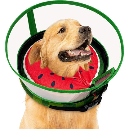 Seektik inflatable dog cone collar front view on a golden retriever