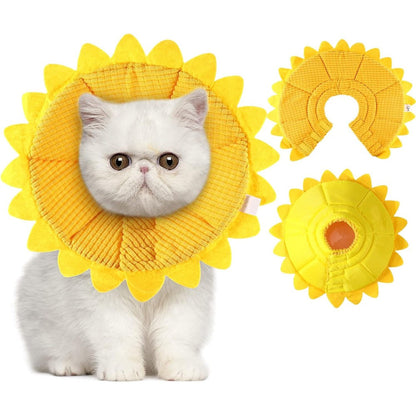 Sadnyy sunflower cat recovery cone collar front view on a small white kitten