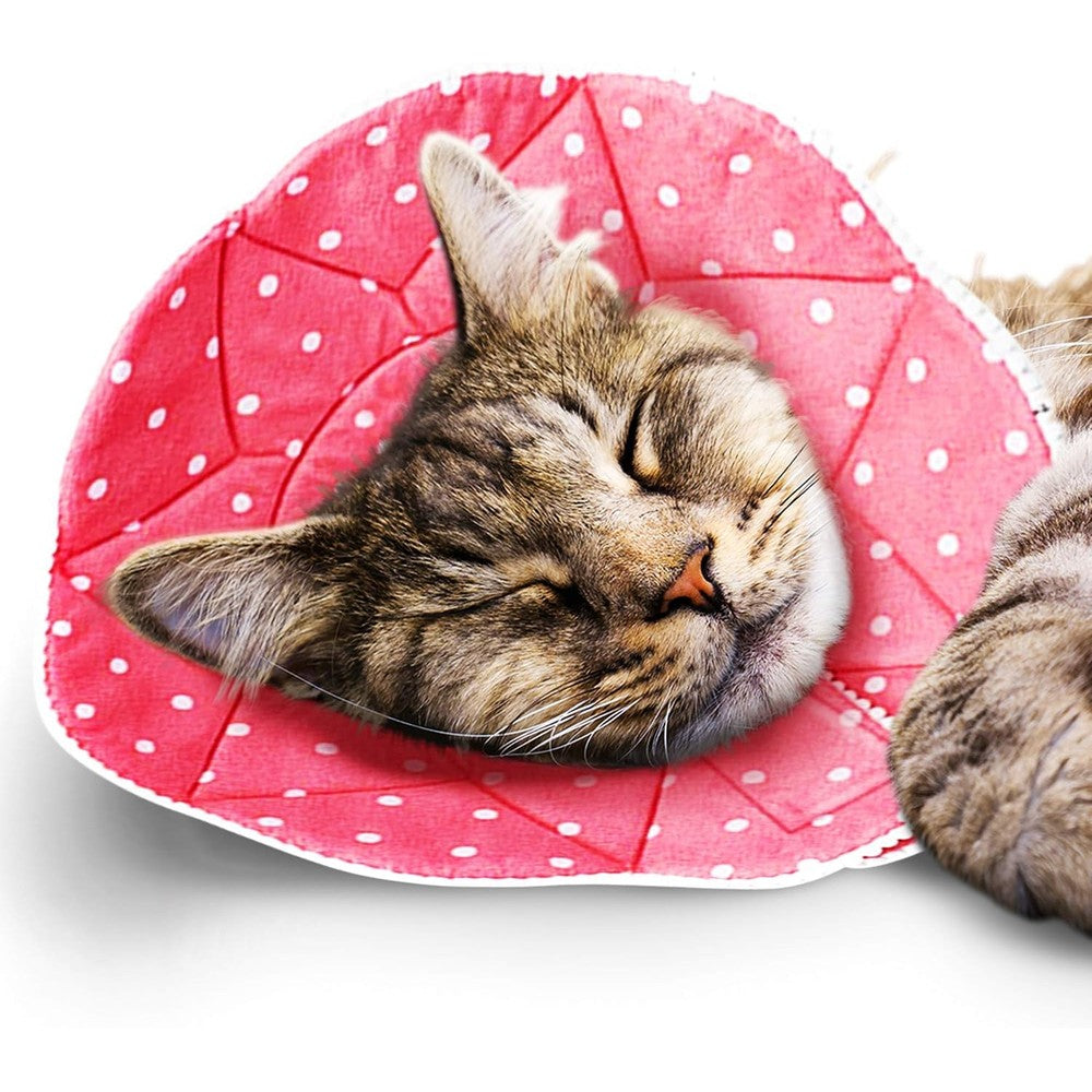 SunGrow soft cat cone collar in pink showing the front view on a sleeping cat