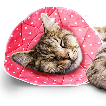 SunGrow soft cat cone collar in pink showing the front view on a sleeping cat