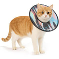PetThem soft cat cone collar front view on a white background.