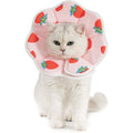 Avont soft cat recovery cone collar front view strawberry design