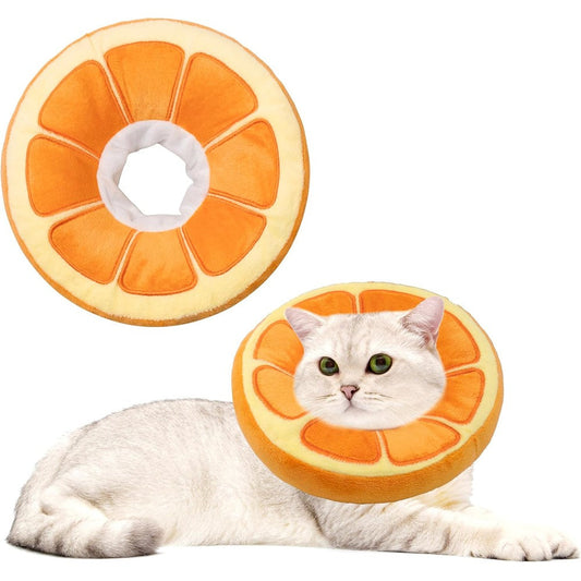 Maiiu soft cat cone collar front view featuring orange slice design on a small cat.