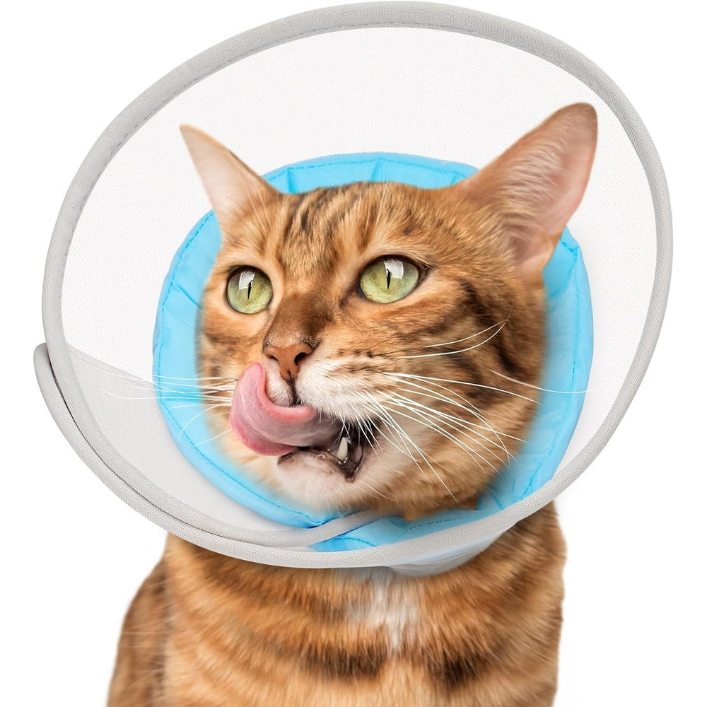 Joypig cat cone collar soft front view on a kitten.