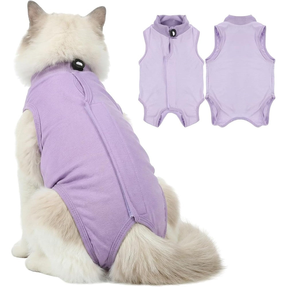 HaiFafafaing cat recovery suit front view on kitten