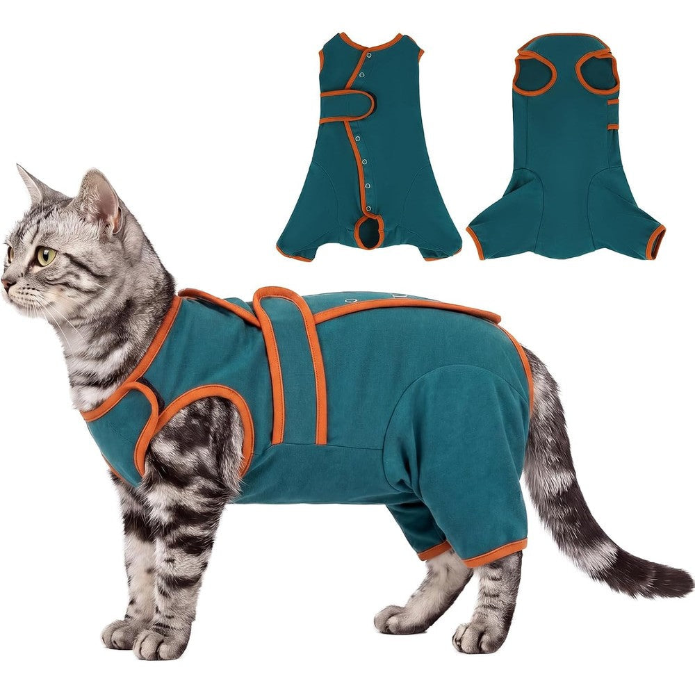 Dentrun cat recovery suit front view on kitten