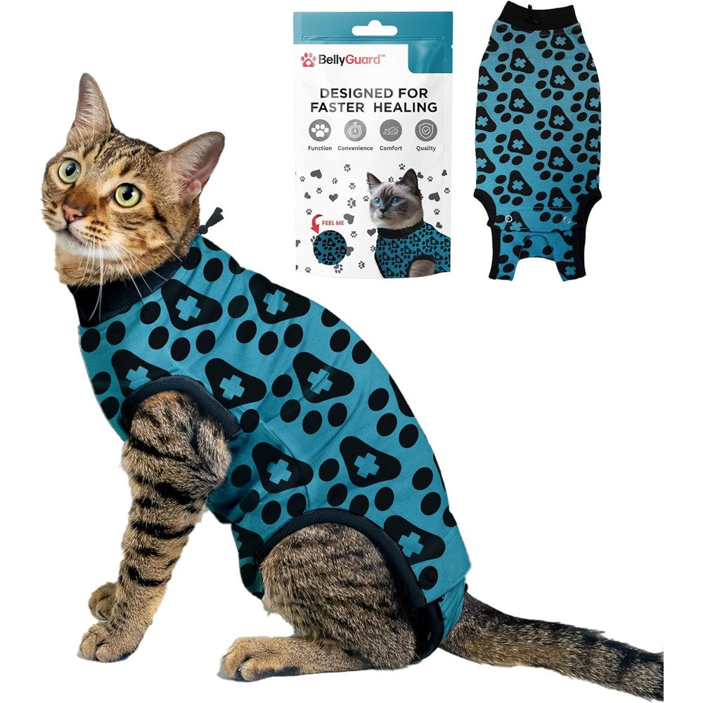 BellyGuard cat recovery suit front view on a cat