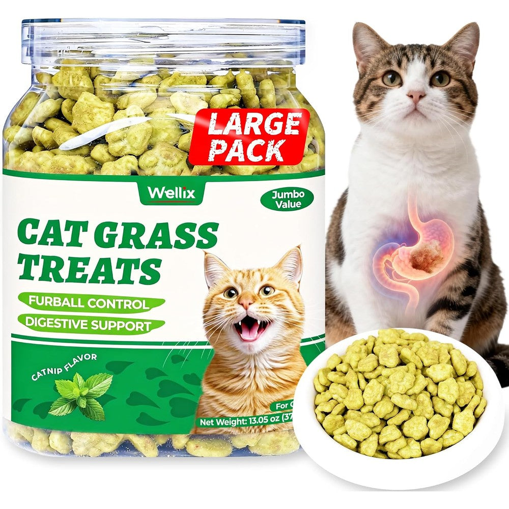 Wellix Cat Grass Treats With Catnip And Salmon For Hairball Control And Digestive Support For Indoor Cats And Kittens 13.05 Ounce