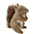 Accio Adorable Plush Squirrel Dog Toy front view interactive pet chew companion