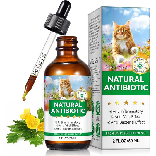 BTQAFVZT natural antibiotics for cats liquid bottle front view
