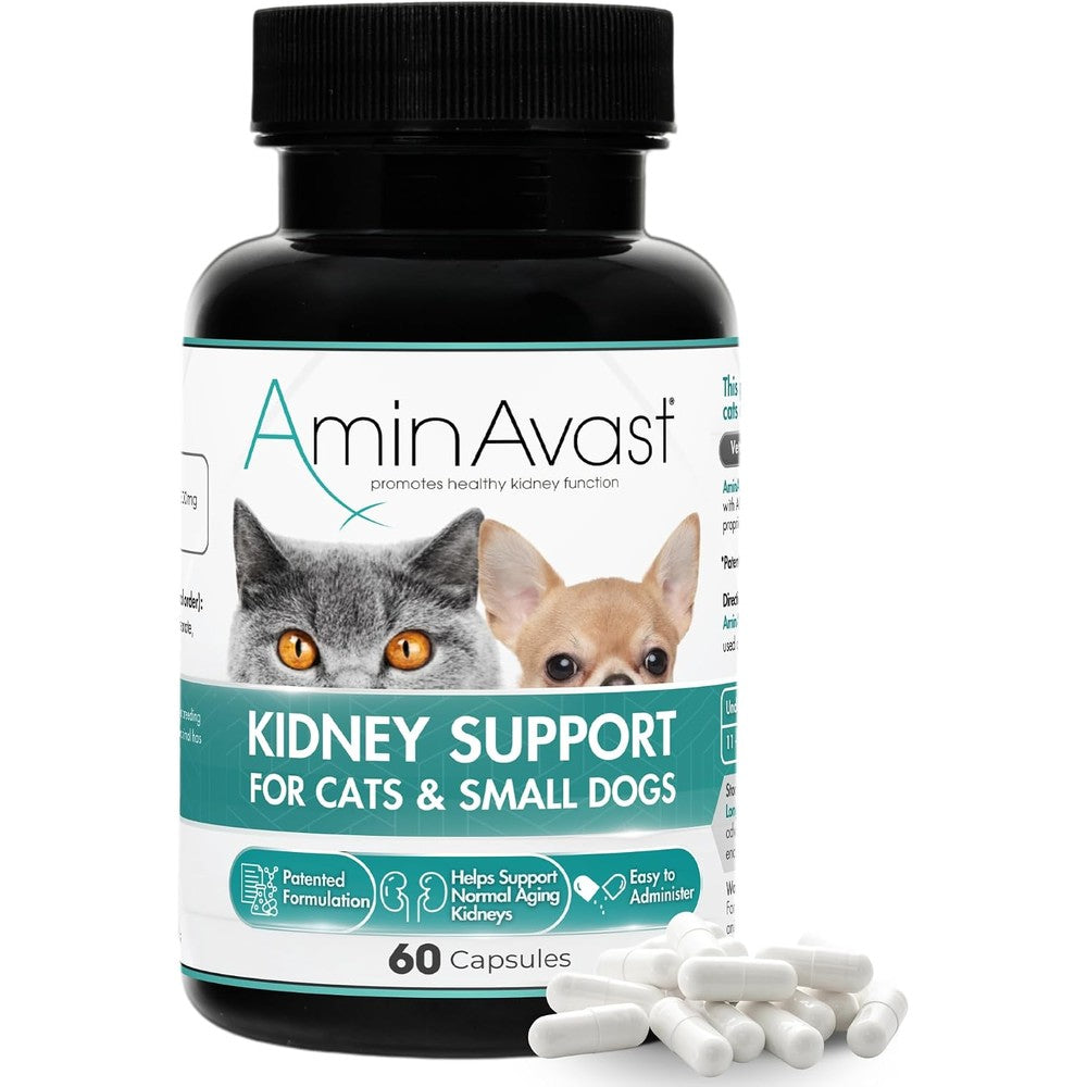 AminAvast Kidney Support Supplement For Cats And Small Dogs 300 Milligrams 60 Capsules - Image 1