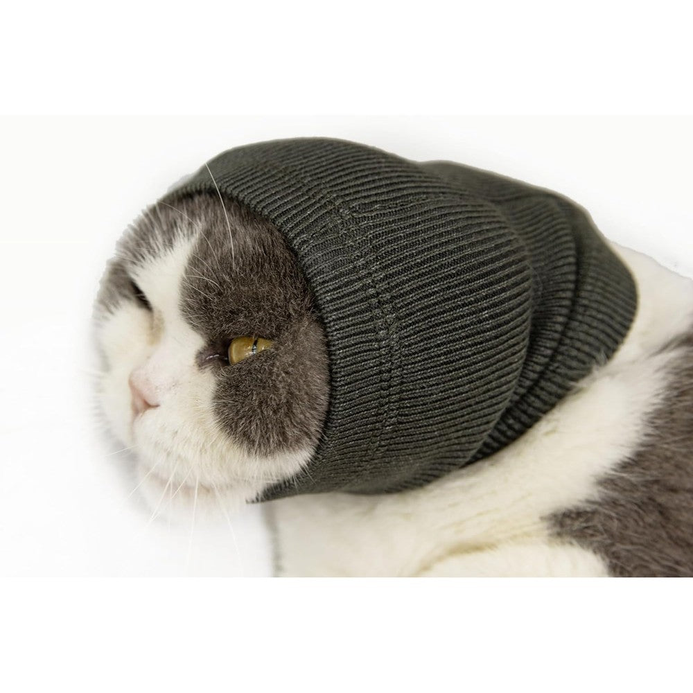 DDFS Cat Snood Ear Muffs front view for anxiety relief