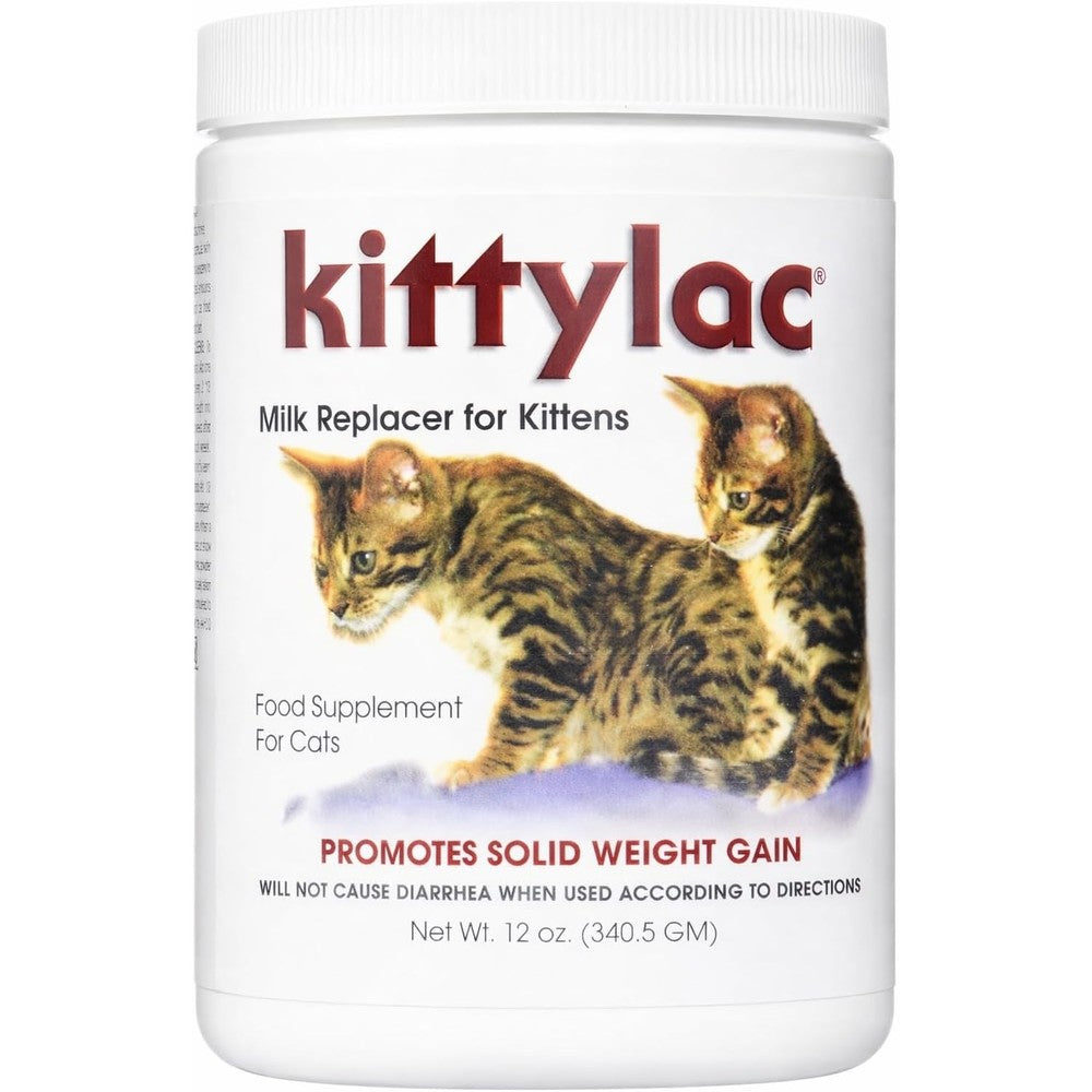 Kenic Balance Kittylac Milk Replacement Powder 12 Ounce front view premium kitten nutrition import