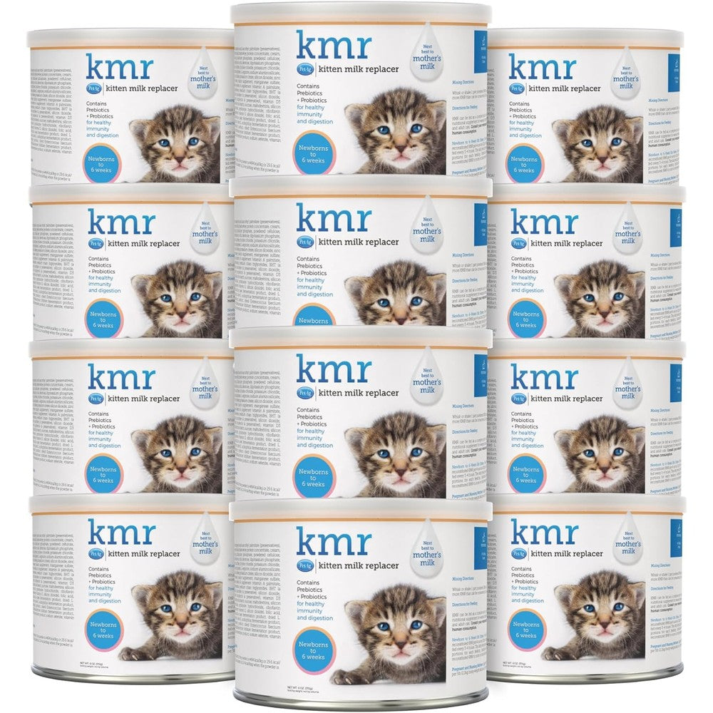 PetAg KMR Kitten Milk Replacer Powder front view container packaging