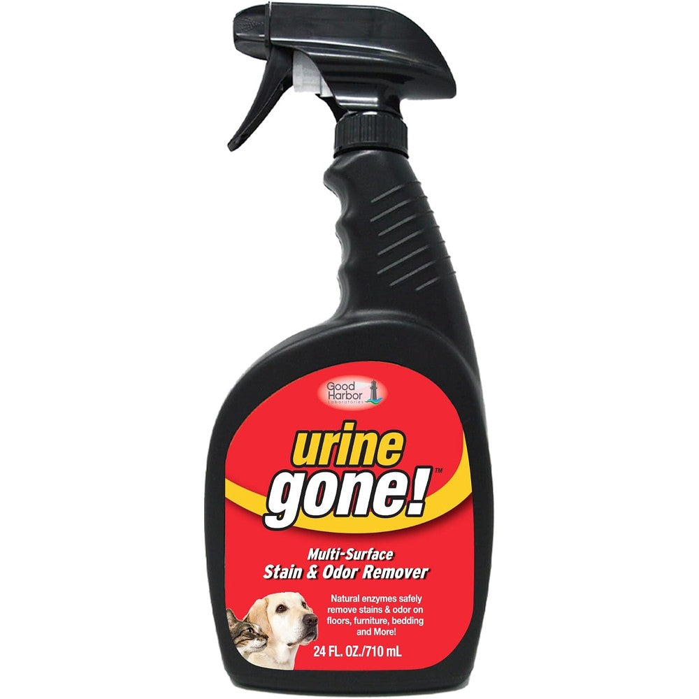 Urine Gone Stain And Odor Eliminator front view bottle for pet mess cleanup
