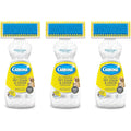 Carbona Oxy Powered Pet Stain and Odor Remover front view showing the 2 in 1 brush applicator