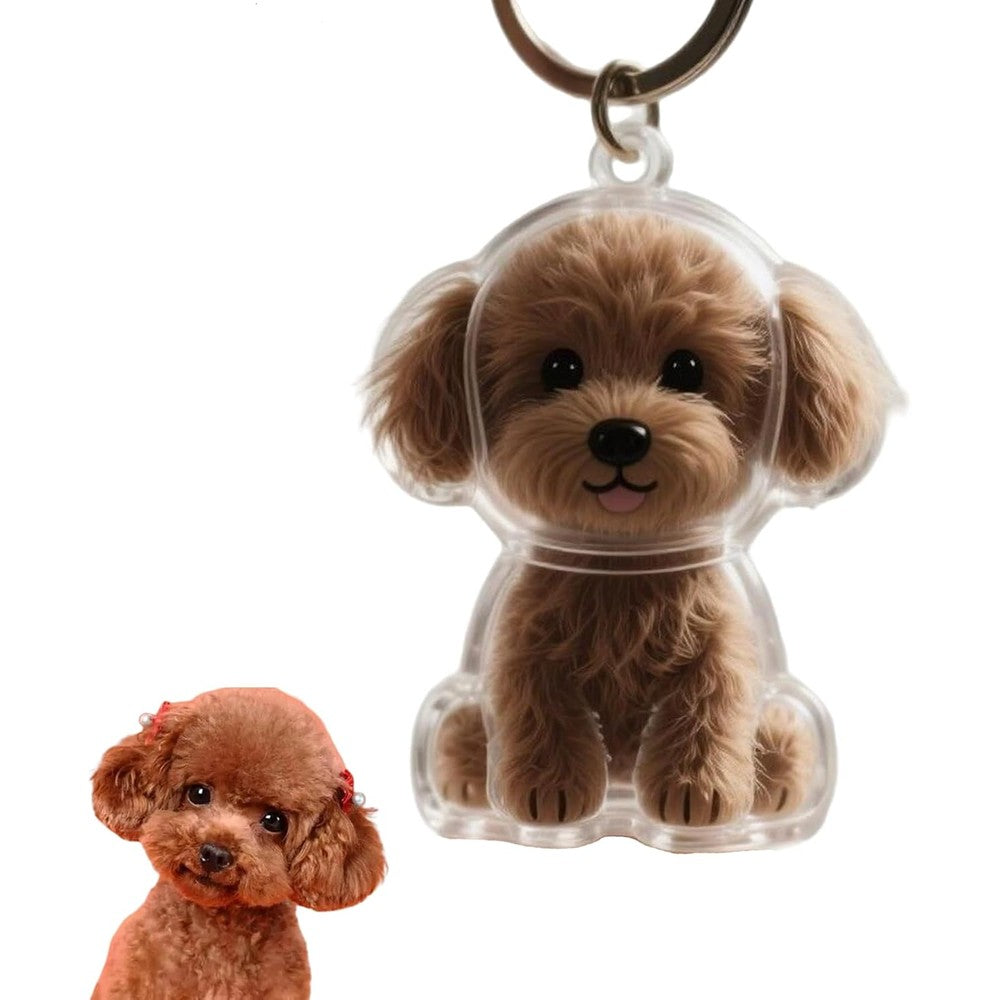 Generic poodle dog hair collector keychain charm front view showing transparent memorial capsule