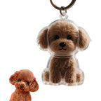 Generic poodle dog hair collector keychain charm front view showing transparent memorial capsule