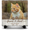Sol Vibes custom cat memorial stone front view showing white ceramic coated frame with rustic wood textures