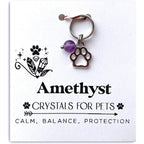 Mintandorange Natural Gemstone Pet Collar Charm With Paw Print Pendant For Dogs And Cats Authentic USA Imported Accessory