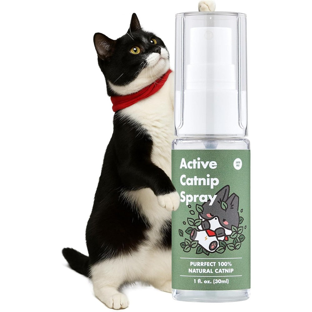 Jayu Pet Active Catnip Spray High Potency Transparent Liquid Stress Relief Calming Mist For Indoor Cats And Kittens 1 Fluid Ounce