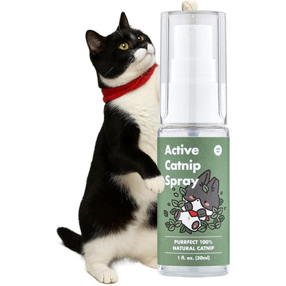 Jayu Pet Active Catnip Spray High Potency Transparent Liquid Stress Relief Calming Mist For Indoor Cats And Kittens 1 Fluid Ounce