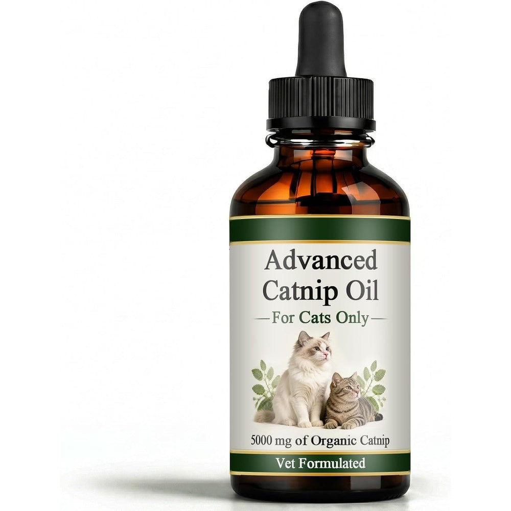 PLYNXE Catnip Oil for Cats Premium Catnip Essential Oil Liquid Drops Supports Feline Digestive and Immune Balance 60 Millilitre