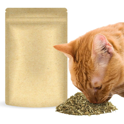 SunGrow Premium Catnip For Cats Dried Organic Leaves And Flowers Aromatic Behavior Training Aid In Resealable Pouch One Point Five Ounce