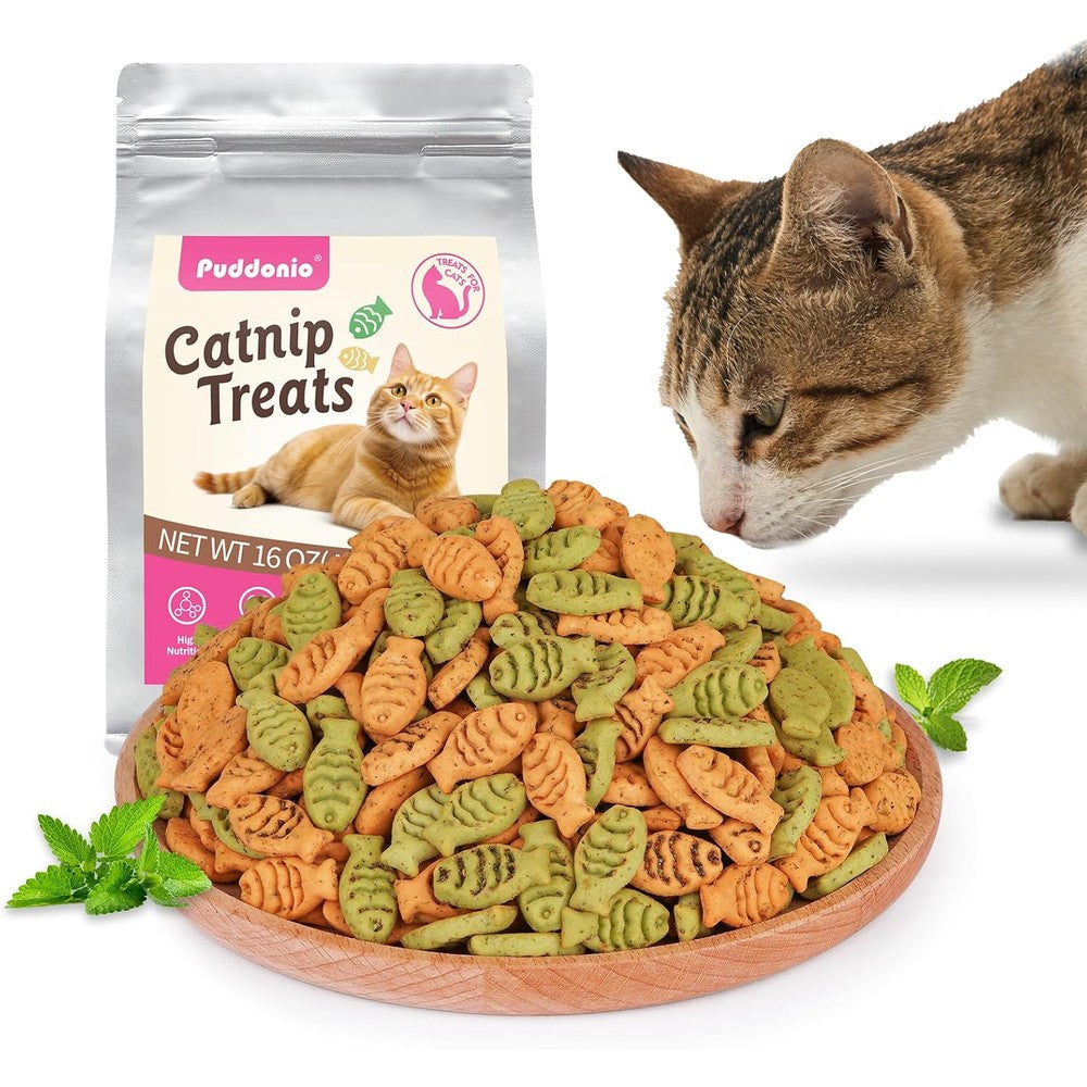 Puddonio Catnip Cat Treats Chicken and Salmon Flavor Crunchy Cat Biscuits Fish Shaped Training Snacks for Adult Cats 16 Ounce