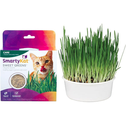 SmartyKat Sweet Greens Organic Oat Grass All In One Cat Grass Grow Kit For Healthy Digestion And Hairball Reduction One Ounce