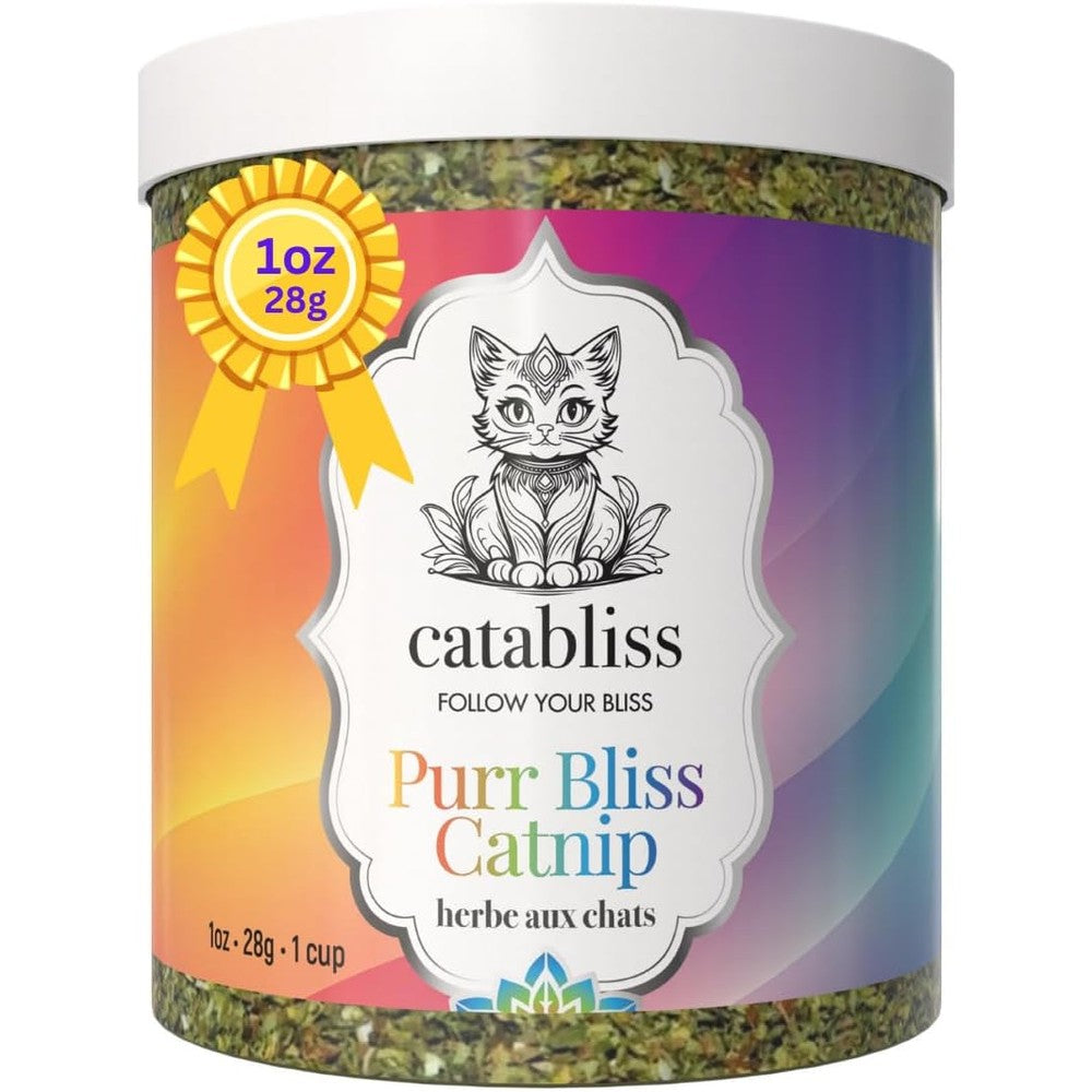 Catabliss Natural Catnip For Cats Turbo Charging Blend Premium Essential Catnip Herb Packaged In A Fresh Resealable Jar One Ounce
