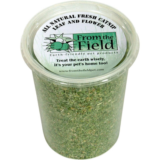 From The Field Organic Catnip Leaf And Flower Blend For Cats And Kittens Premium USA Grown Highly Aromatic Non Toxic Three Point Five Ounce Tub