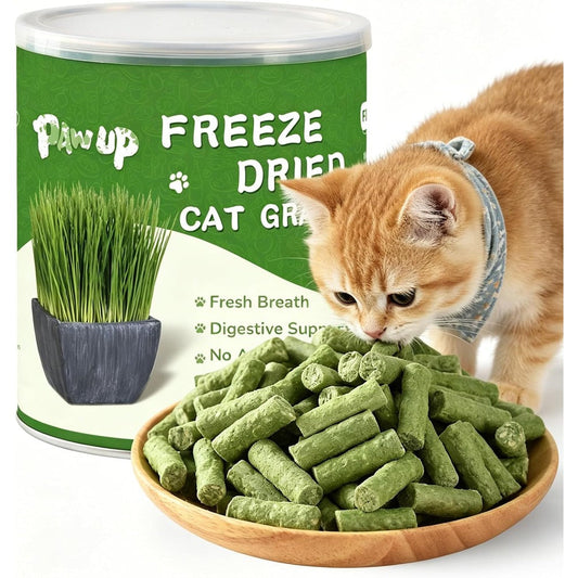 PAWUP Freeze Dried Chicken Cat Treats with Barley Cat Grass and Prebiotics Digestive Support and Hairball Control Snacks for Indoor Cats 3.8 Ounce
