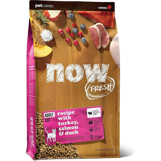 Now Fresh Grain Free Adult Dry Cat Food Recipe With Real Turkey Salmon And Duck Minimally Processed Chicken Free Formula Three Pound Bag