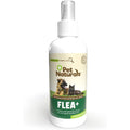 Pet Naturals Protect Flea and Tick Repellent Spray 8 Ounce front view authentic USA import