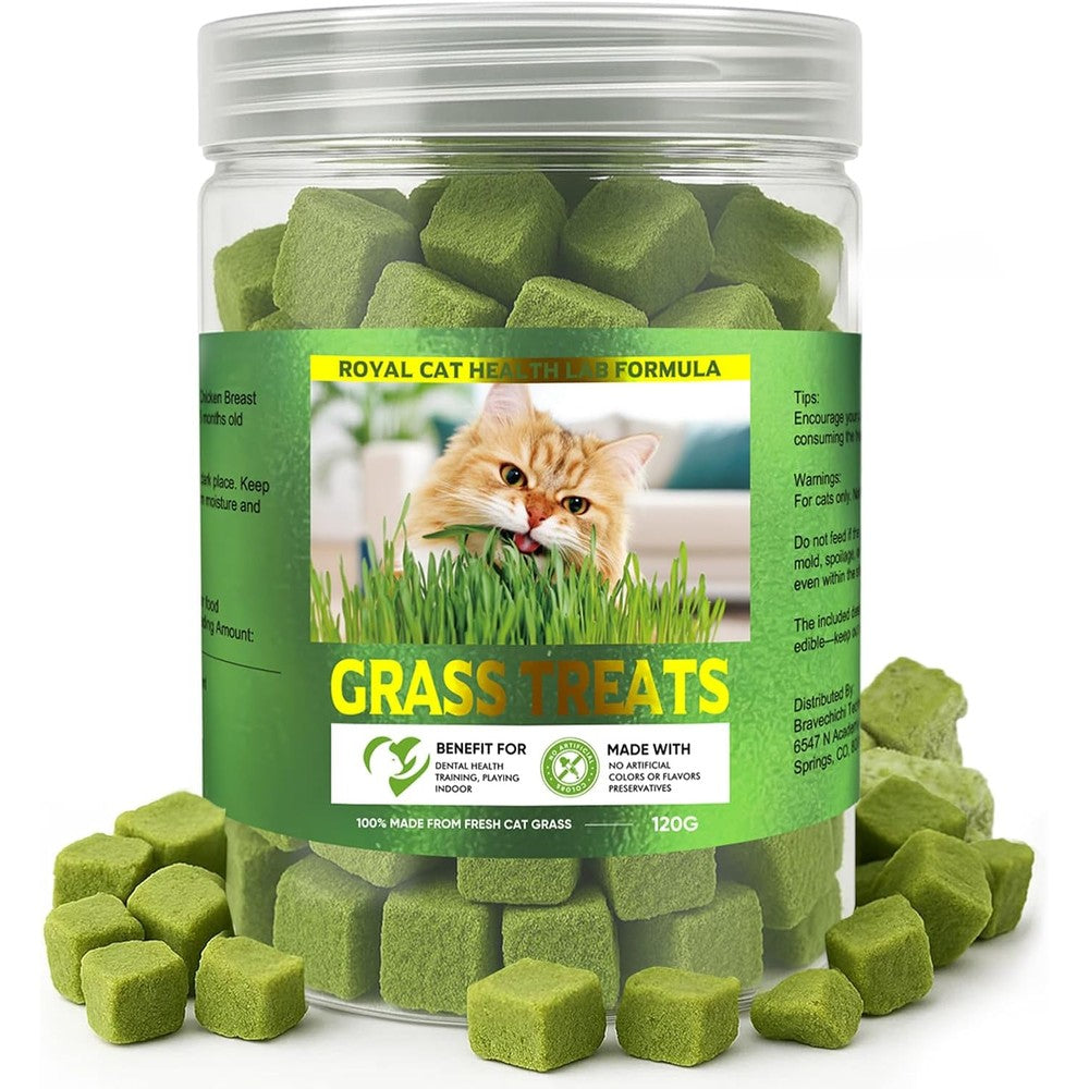 Gachwala AiRunTech cat grass treats indoor kit front view showing packaging box